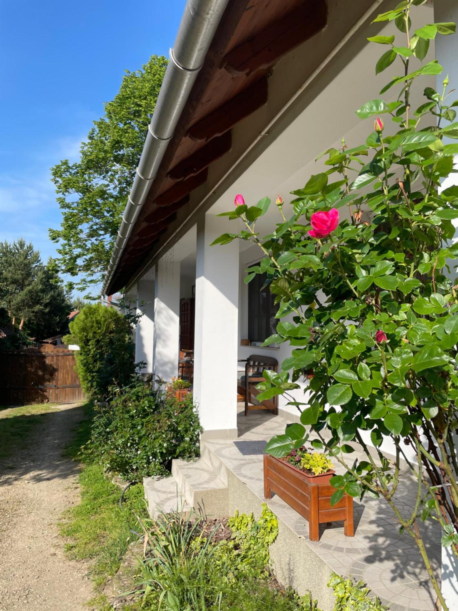 Bakonyi Vadasz Haza Holiday home *